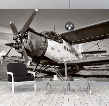 Picture of Vintage biplane